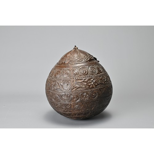 42 - AN ANGLO INDIAN CARVED COCONUT TEA CADDY, 19/20TH CENTURY. With bands of floral decoration in relief... 