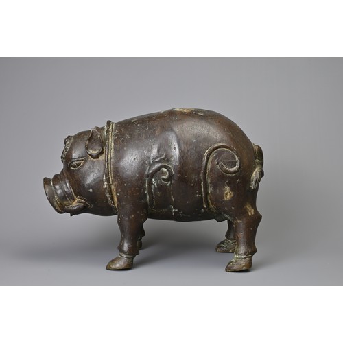 43 - A BALINESE VINTAGE BRONZE MODEL OF A PIG. Hollow cast model standing foursquare. 29cm length.