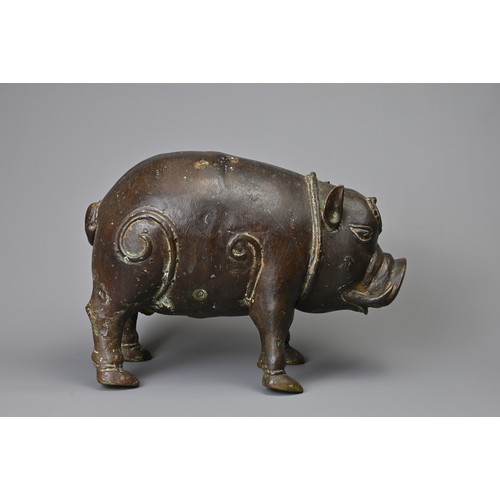 43 - A BALINESE VINTAGE BRONZE MODEL OF A PIG. Hollow cast model standing foursquare. 29cm length.