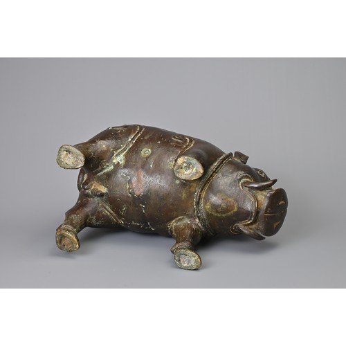 43 - A BALINESE VINTAGE BRONZE MODEL OF A PIG. Hollow cast model standing foursquare. 29cm length.