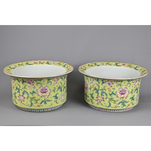 81 - A LARGE PAIR OF CHINESE LIME GREEN GROUND FAMILLE ROSE PORCELAIN JARDINIERES. Of cylindrical form wi... 