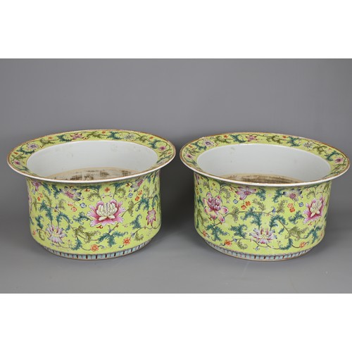 81 - A LARGE PAIR OF CHINESE LIME GREEN GROUND FAMILLE ROSE PORCELAIN JARDINIERES. Of cylindrical form wi... 