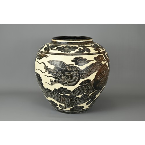 62 - A LARGE CHINESE CIZHOU TYPE DRAGON AND PHOENIX JAR. Sgraffito decorated black and cream coloured gla... 