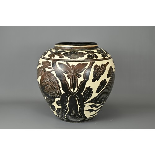 62 - A LARGE CHINESE CIZHOU TYPE DRAGON AND PHOENIX JAR. Sgraffito decorated black and cream coloured gla... 