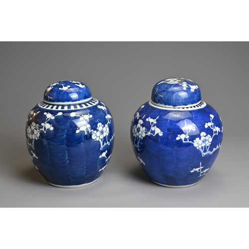 15 - TWO CHINESE BLUE AND WHITE GINGER JARS AND COVERS, 19/20TH CENTURY. Each with typical prunus decorat... 