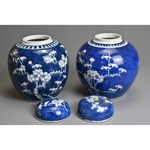 15 - TWO CHINESE BLUE AND WHITE GINGER JARS AND COVERS, 19/20TH CENTURY. Each with typical prunus decorat... 