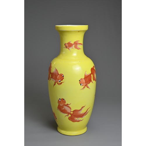 76 - A CHINESE YELLOW GROUND PORCELAIN GOLDFISH VASE, 20TH CENTURY. Of baluster form decorated with iron-... 