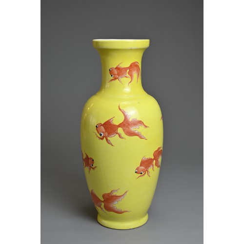 76 - A CHINESE YELLOW GROUND PORCELAIN GOLDFISH VASE, 20TH CENTURY. Of baluster form decorated with iron-... 