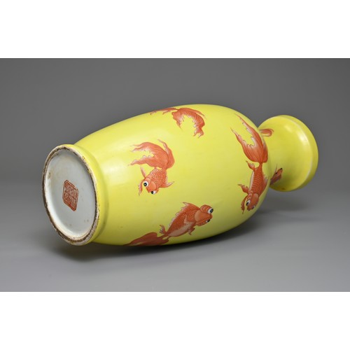 76 - A CHINESE YELLOW GROUND PORCELAIN GOLDFISH VASE, 20TH CENTURY. Of baluster form decorated with iron-... 