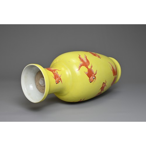 76 - A CHINESE YELLOW GROUND PORCELAIN GOLDFISH VASE, 20TH CENTURY. Of baluster form decorated with iron-... 