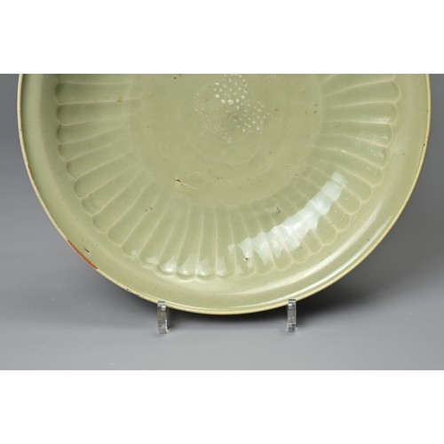 68 - A CHINESE LONGQUAN CELADON SHALLOW DISH. Fairly finely potted with moulded ribbed interior in the fo... 