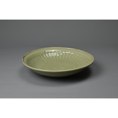 68 - A CHINESE LONGQUAN CELADON SHALLOW DISH. Fairly finely potted with moulded ribbed interior in the fo... 