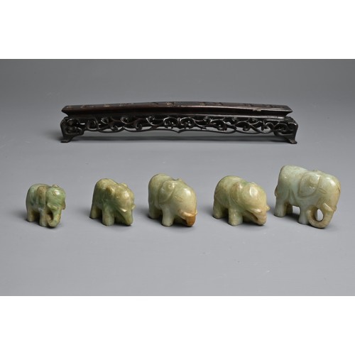 51 - CHINESE JADE ELEPHANT GROUP ON WOODEN STAND, 19/20TH CENTURY. A procession of five individually carv... 