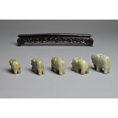 51 - CHINESE JADE ELEPHANT GROUP ON WOODEN STAND, 19/20TH CENTURY. A procession of five individually carv... 