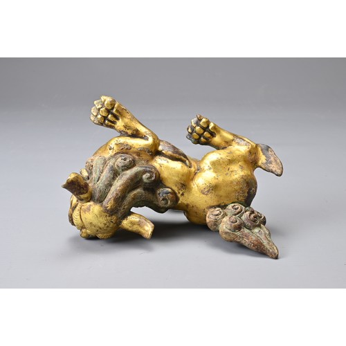 181 - A CHINESE GILT BRONZE FIGURE OF A LION, MING DYNASTY STYLE. In a playful position with its head turn... 