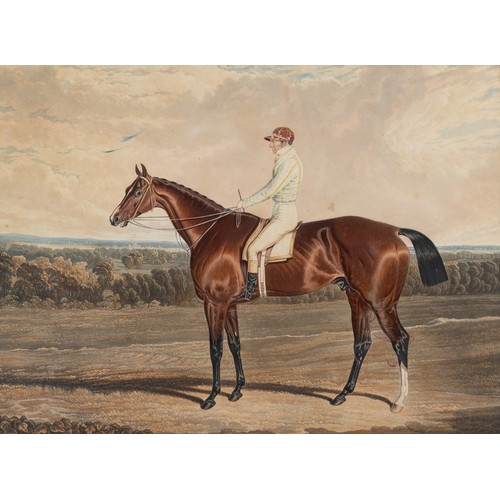 378 - 19TH CENTURY AQUATINT OF RACE HORSE AND JOCKEY, hand coloured, 30 x 40 cm, double mounted, framed an... 