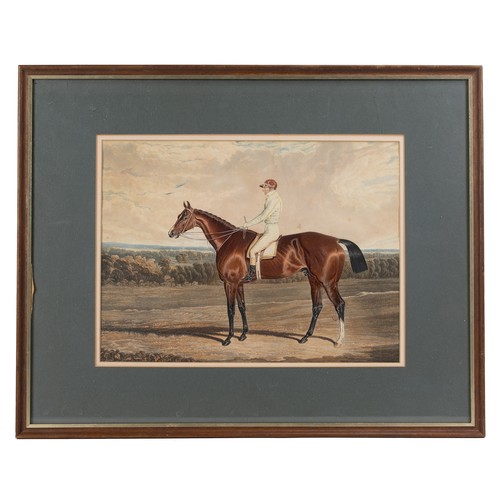 378 - 19TH CENTURY AQUATINT OF RACE HORSE AND JOCKEY, hand coloured, 30 x 40 cm, double mounted, framed an... 