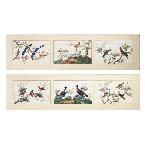 193 - TWO FRAMED CHINESE TRIPTYCH PITH PAINTINGS OF BIRDS, LATE QING - The two outer paintings in each fra... 