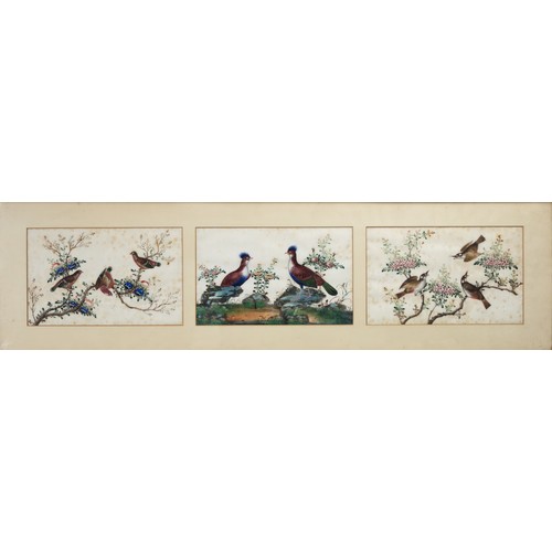 193 - TWO FRAMED CHINESE TRIPTYCH PITH PAINTINGS OF BIRDS, LATE QING - The two outer paintings in each fra... 