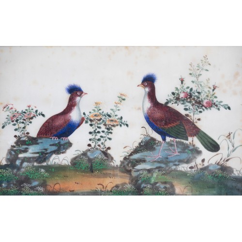 193 - TWO FRAMED CHINESE TRIPTYCH PITH PAINTINGS OF BIRDS, LATE QING - The two outer paintings in each fra... 