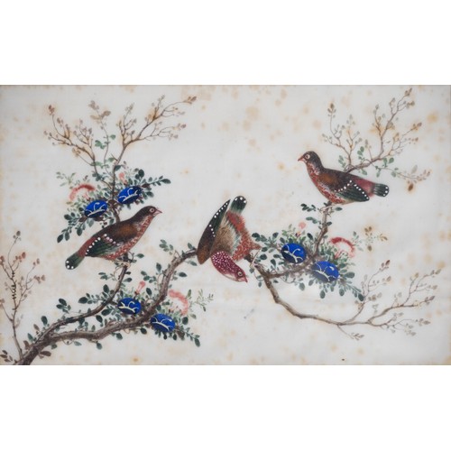 193 - TWO FRAMED CHINESE TRIPTYCH PITH PAINTINGS OF BIRDS, LATE QING - The two outer paintings in each fra... 