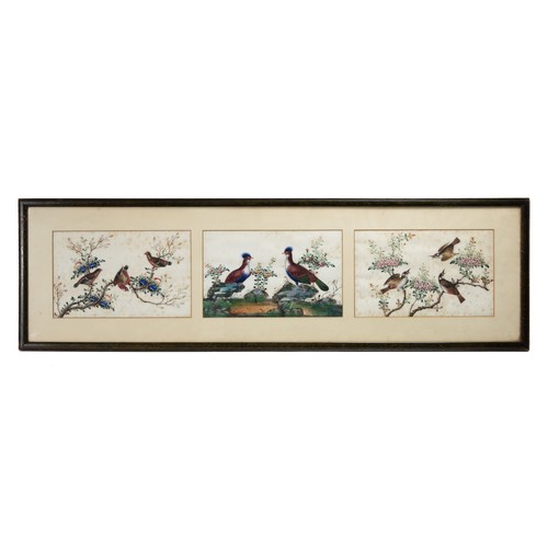 193 - TWO FRAMED CHINESE TRIPTYCH PITH PAINTINGS OF BIRDS, LATE QING - The two outer paintings in each fra... 