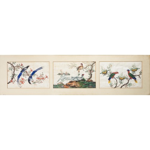 193 - TWO FRAMED CHINESE TRIPTYCH PITH PAINTINGS OF BIRDS, LATE QING - The two outer paintings in each fra... 