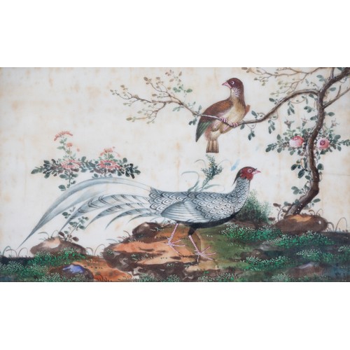 193 - TWO FRAMED CHINESE TRIPTYCH PITH PAINTINGS OF BIRDS, LATE QING - The two outer paintings in each fra... 