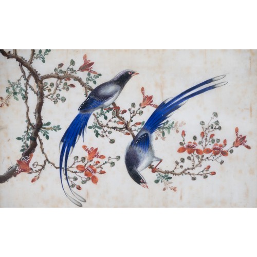 193 - TWO FRAMED CHINESE TRIPTYCH PITH PAINTINGS OF BIRDS, LATE QING - The two outer paintings in each fra... 