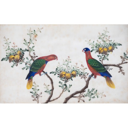 193 - TWO FRAMED CHINESE TRIPTYCH PITH PAINTINGS OF BIRDS, LATE QING - The two outer paintings in each fra... 