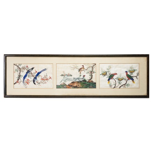 193 - TWO FRAMED CHINESE TRIPTYCH PITH PAINTINGS OF BIRDS, LATE QING - The two outer paintings in each fra... 