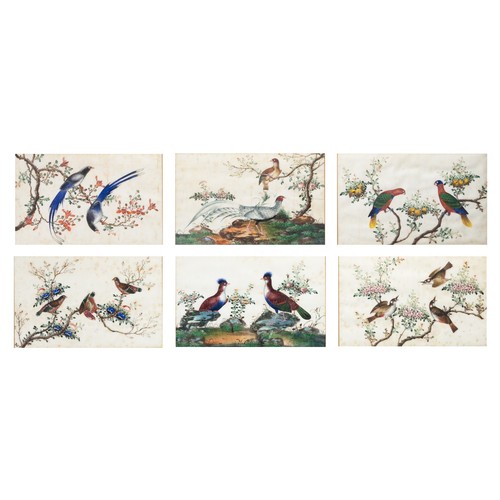 193 - TWO FRAMED CHINESE TRIPTYCH PITH PAINTINGS OF BIRDS, LATE QING - The two outer paintings in each fra... 