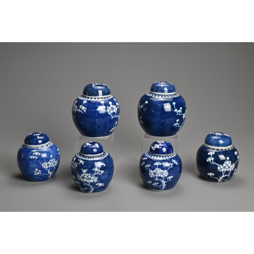 61 - SIX CHINESE BLUE AND WHITE PORCELAIN PRUNUS JARS AND COVERS, 19/20TH CENTURY. Each of globular form ... 