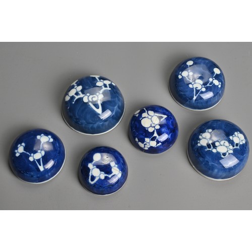 61 - SIX CHINESE BLUE AND WHITE PORCELAIN PRUNUS JARS AND COVERS, 19/20TH CENTURY. Each of globular form ... 