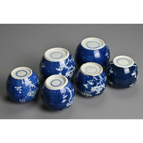 61 - SIX CHINESE BLUE AND WHITE PORCELAIN PRUNUS JARS AND COVERS, 19/20TH CENTURY. Each of globular form ... 