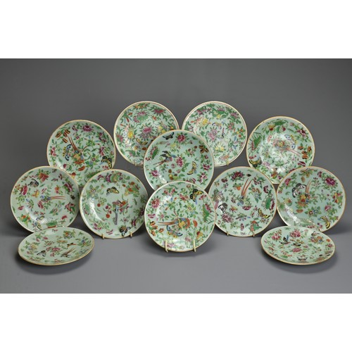 79 - A GROUP OF TWELVE CHINESE CELADON GROUND PORCELAIN DISHES, 19TH CENTURY. Decorated with birds, insec... 