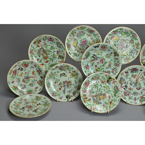 79 - A GROUP OF TWELVE CHINESE CELADON GROUND PORCELAIN DISHES, 19TH CENTURY. Decorated with birds, insec... 