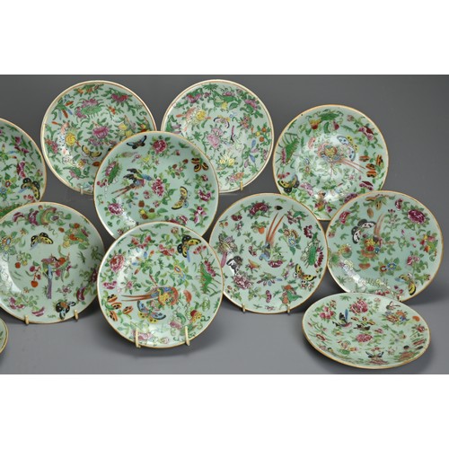 79 - A GROUP OF TWELVE CHINESE CELADON GROUND PORCELAIN DISHES, 19TH CENTURY. Decorated with birds, insec... 