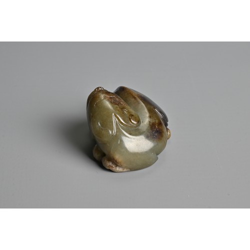 108 - A CHINESE CELADON AND BROWN JADE CARVING OF A BUDDHIST LION, QING DYNASTY. The nephrite jade figure ... 