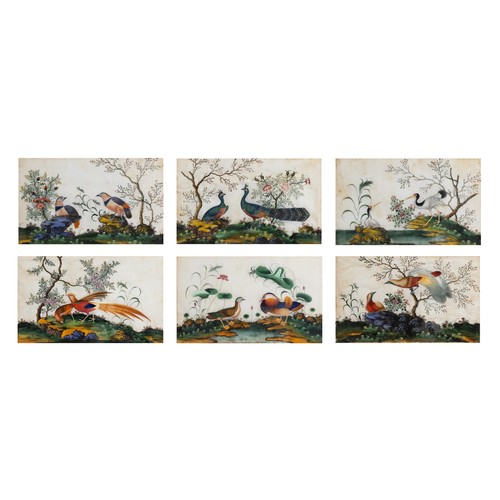 194 - A SET OF SIX CHINESE PITH PAINTINGS, QING DYNASTY - Each depicting exotic birds within a floral land... 