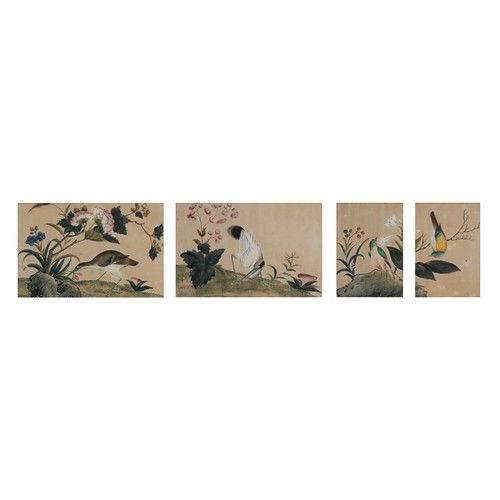 196 - THREE c.1855 CHINESE PITH PAINTINGS, QING DYNASTY - Exotic birds within floral landscape scenes, wat... 