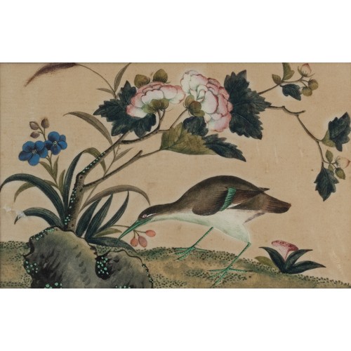 196 - THREE c.1855 CHINESE PITH PAINTINGS, QING DYNASTY - Exotic birds within floral landscape scenes, wat... 