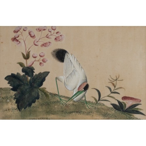 196 - THREE c.1855 CHINESE PITH PAINTINGS, QING DYNASTY - Exotic birds within floral landscape scenes, wat... 