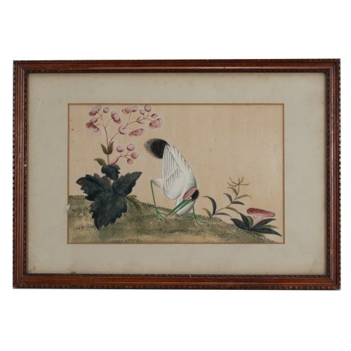 196 - THREE c.1855 CHINESE PITH PAINTINGS, QING DYNASTY - Exotic birds within floral landscape scenes, wat... 