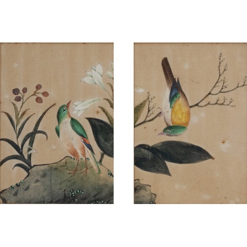 196 - THREE c.1855 CHINESE PITH PAINTINGS, QING DYNASTY - Exotic birds within floral landscape scenes, wat... 