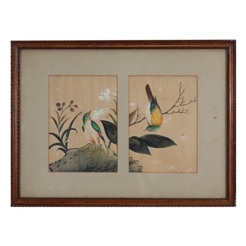 196 - THREE c.1855 CHINESE PITH PAINTINGS, QING DYNASTY - Exotic birds within floral landscape scenes, wat... 