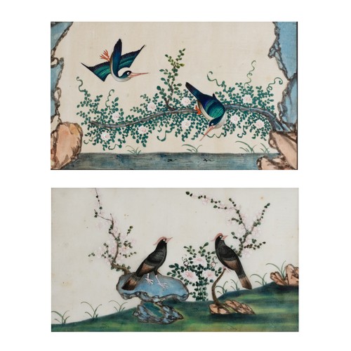 197 - TWO CHINESE PITH PAINTINGS, QING DYNASTY - Depicting pairs of exotic birds on branches, watercolour ... 