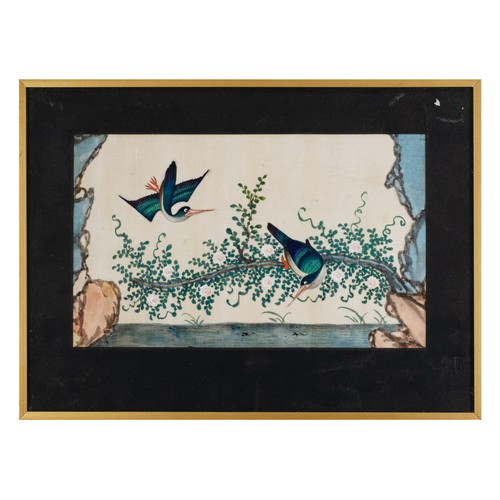 197 - TWO CHINESE PITH PAINTINGS, QING DYNASTY - Depicting pairs of exotic birds on branches, watercolour ... 