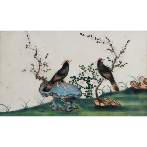 197 - TWO CHINESE PITH PAINTINGS, QING DYNASTY - Depicting pairs of exotic birds on branches, watercolour ... 