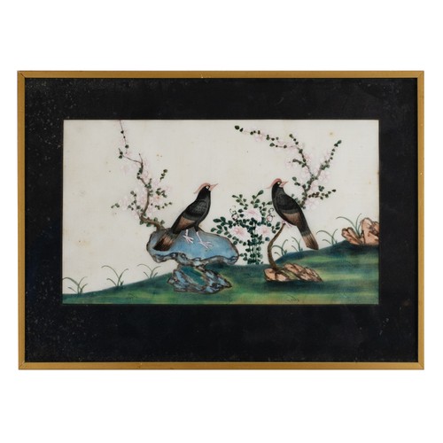 197 - TWO CHINESE PITH PAINTINGS, QING DYNASTY - Depicting pairs of exotic birds on branches, watercolour ... 